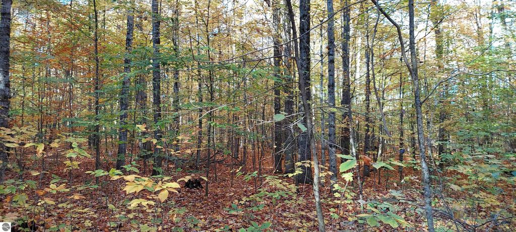 Photo of 8364 Del Mason Road, Mancelona, MI 49659 (MLS # 1939983)