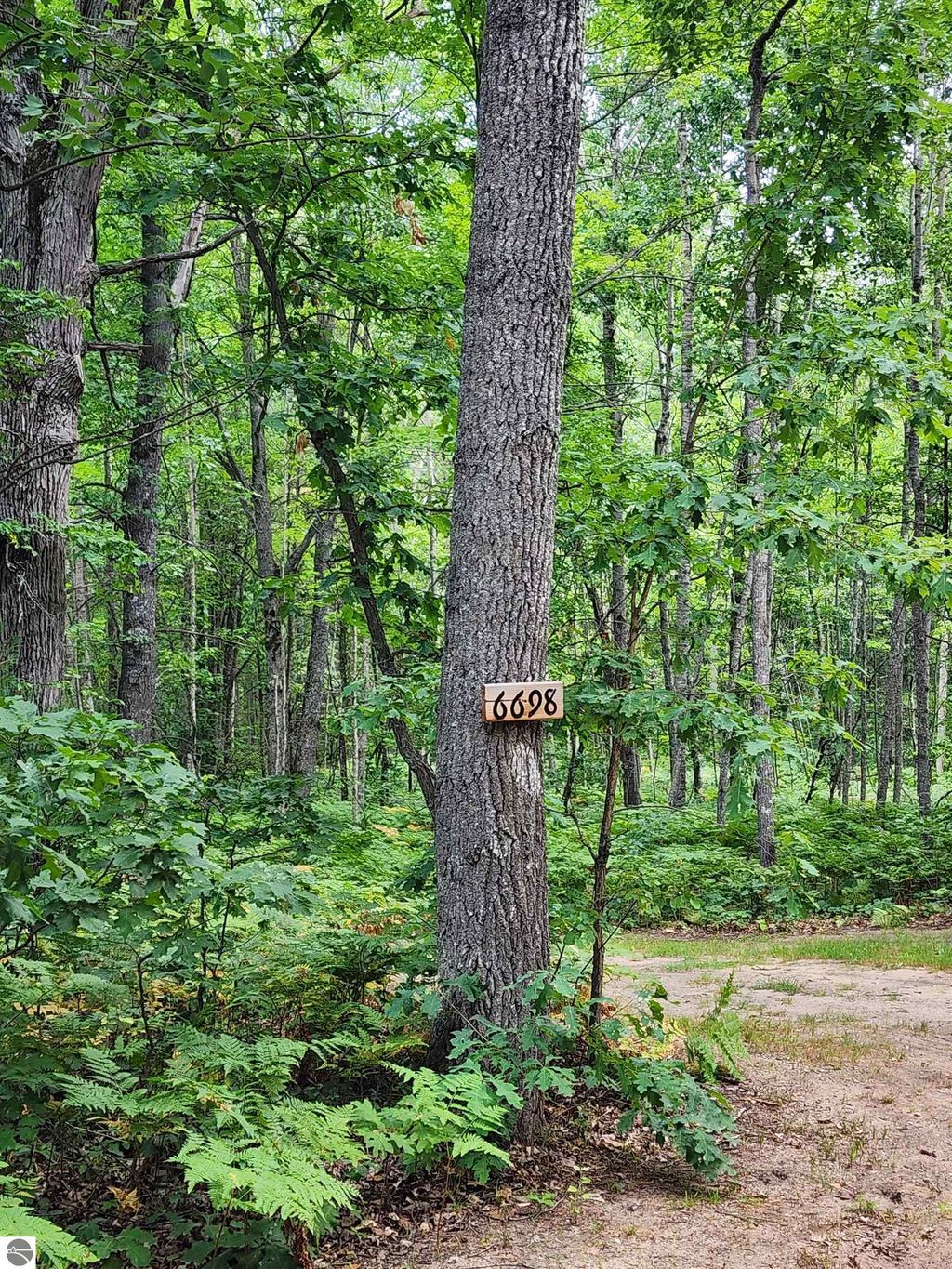 Photo of 6698 Birdsong Road, Houghton Lake, MI 48629 (MLS # 1937785)