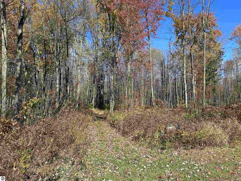 Tiny photo for 4350 W Laporte Road, St Louis, MI 48880 (MLS # 1939933)