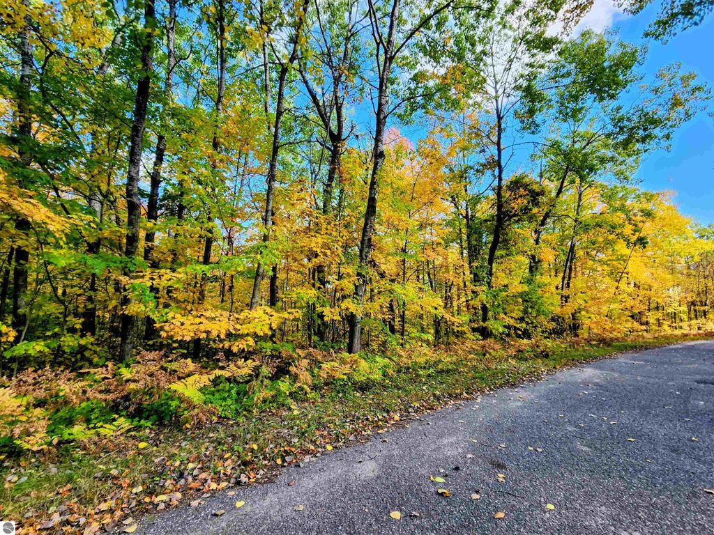 Photo of 235 Cliffmont Drive, Mancelona, MI 49659 (MLS # 1939608)