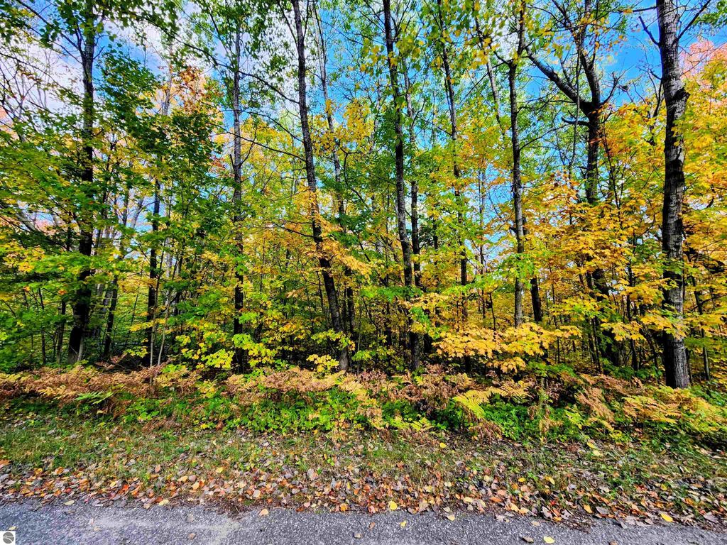 Photo of 235 Cliffmont Drive, Mancelona, MI 49659 (MLS # 1939608)