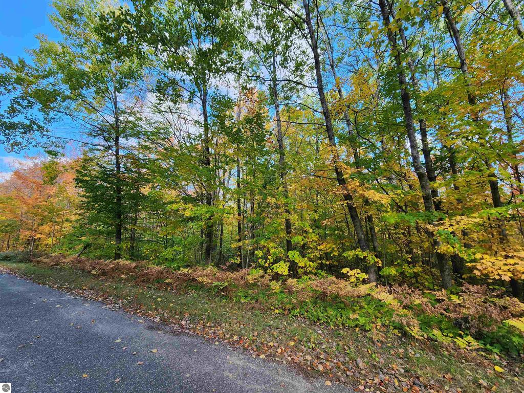 Photo of 235 Cliffmont Drive, Mancelona, MI 49659 (MLS # 1939608)