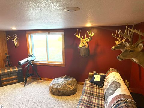 Tiny photo for 4651 S Begole Road, Ithaca, MI 48847 (MLS # 1939372)
