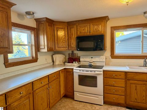 Tiny photo for 4651 S Begole Road, Ithaca, MI 48847 (MLS # 1939372)