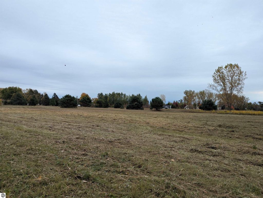 Photo of N/A Court Street, Au Gres, MI 48703 (MLS # 1939697)