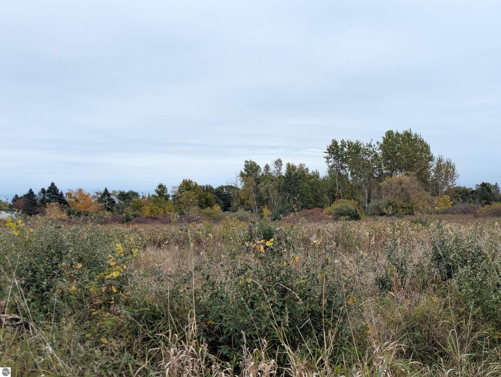 Photo of N/A Court Street, Au Gres, MI 48703 (MLS # 1939697)