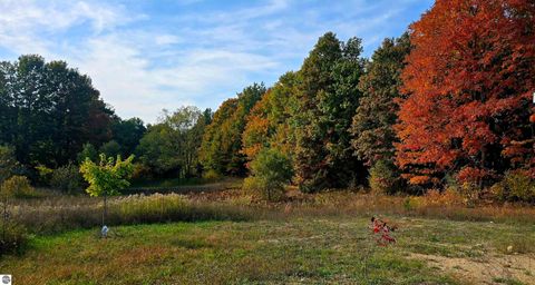 Tiny photo for 303 Westwood Road, Nw, Alden, MI 49612 (MLS # 1940910)