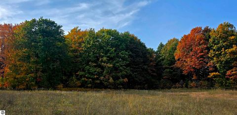 Tiny photo for 303 Westwood Road, Nw, Alden, MI 49612 (MLS # 1940910)