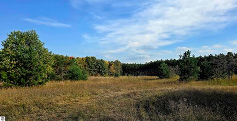 Tiny photo for 303 Westwood Road, Nw, Alden, MI 49612 (MLS # 1940910)