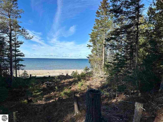 32010 MRS REDDINGS TRL, BEAVER ISLAND, MI 49782 - Image 4bbdf6d26d05024ecc7ee214d5039fa8/2486072342