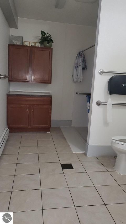 Tiny photo for 340 N Second Street, Stanton, MI 48888 (MLS # 1941280)