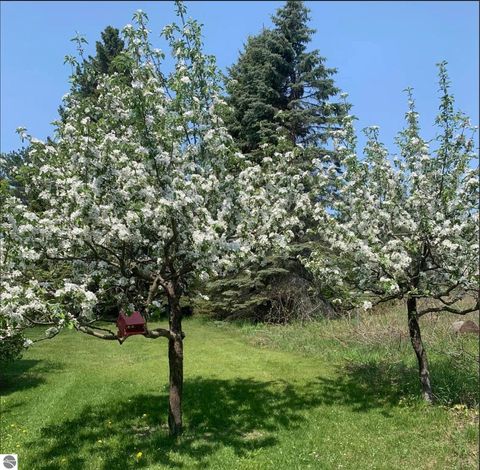 Tiny photo for 254 US-31 N, Kewadin, MI 49648 (MLS # 1940384)