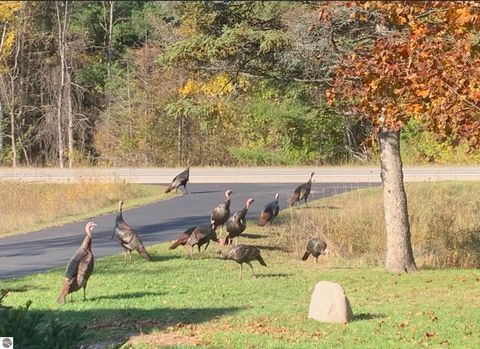 Tiny photo for 254 US-31 N, Kewadin, MI 49648 (MLS # 1940384)