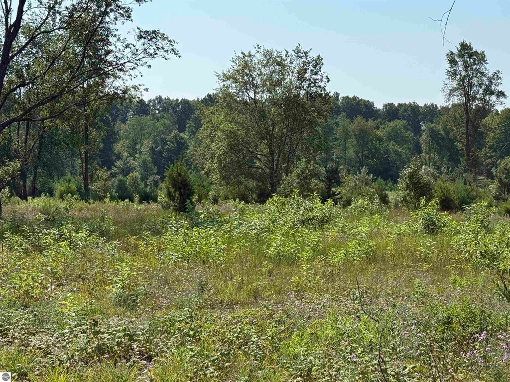 Photo of 8 S Bright Road, Maple City, MI 49664 (MLS # 1940371)