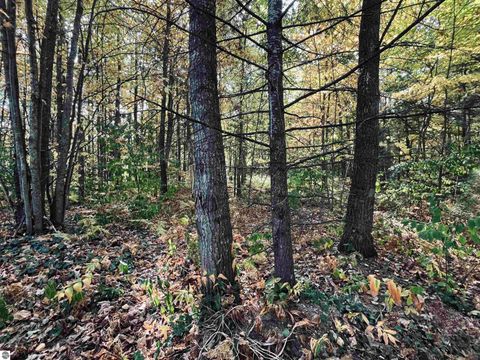 Tiny photo for 1967 NE Fairways Drive, Kalkaska, MI 49646 (MLS # 1939300)