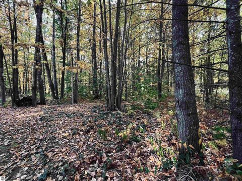 Tiny photo for 1967 NE Fairways Drive, Kalkaska, MI 49646 (MLS # 1939300)