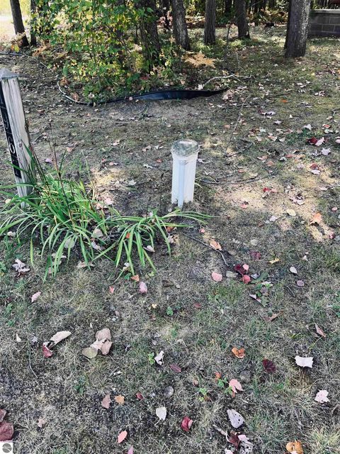 Tiny photo for 1967 NE Fairways Drive, Kalkaska, MI 49646 (MLS # 1939300)