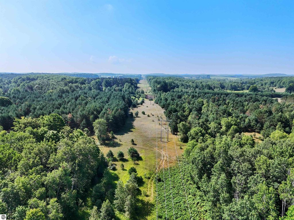 Photo of 40 Truesdale Road, Manton, MI 49663 (MLS # 1932295)