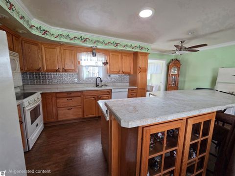 Tiny photo for 44 Leroy Street, Hillsdale, MI 49242 (MLS # 1940750)