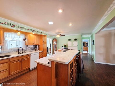 Tiny photo for 44 Leroy Street, Hillsdale, MI 49242 (MLS # 1940750)