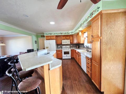 Tiny photo for 44 Leroy Street, Hillsdale, MI 49242 (MLS # 1940750)