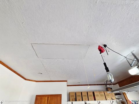 Tiny photo for 44 Leroy Street, Hillsdale, MI 49242 (MLS # 1940750)