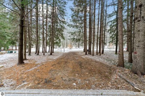 Tiny photo for 6879 Obervalden Drive, Bellaire, MI 49615 (MLS # 1941359)