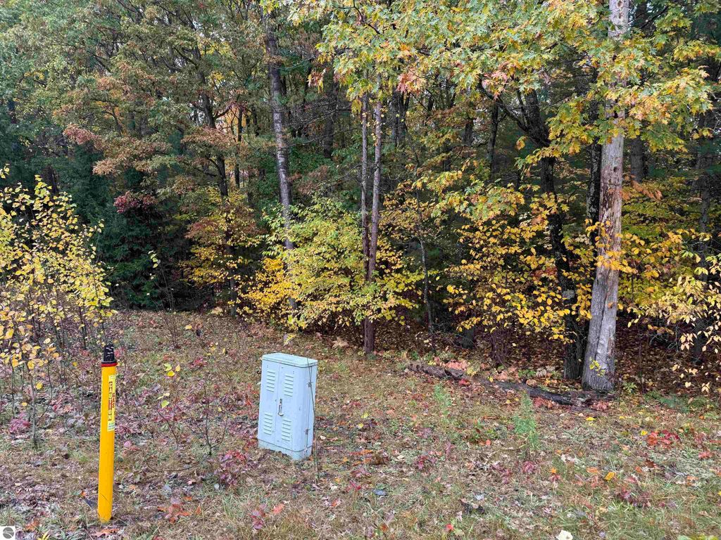 Photo of 1 Penn Lock Colony Road, Interlochen, MI 49643 (MLS # 1939853)