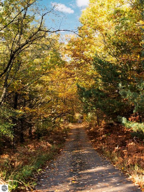 Tiny photo for 8560 S 41 Road, Cadillac, MI 49601 (MLS # 1939833)