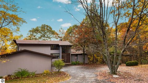 Tiny photo for 8560 S 41 Road, Cadillac, MI 49601 (MLS # 1939833)