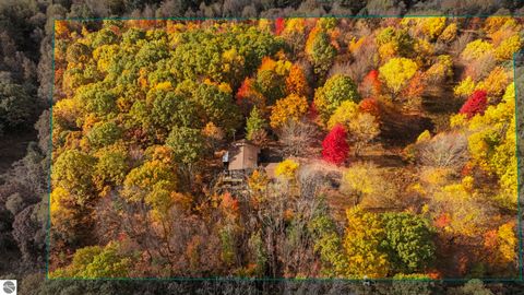 Tiny photo for 8560 S 41 Road, Cadillac, MI 49601 (MLS # 1939833)