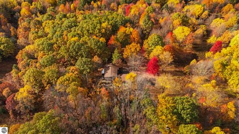 Tiny photo for 8560 S 41 Road, Cadillac, MI 49601 (MLS # 1939833)