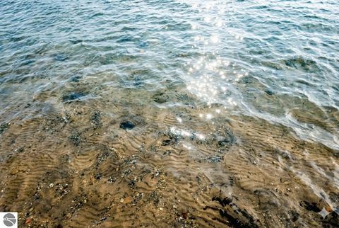 Tiny photo for 3763 East Shore Drive, Grawn, MI 49637 (MLS # 1941021)