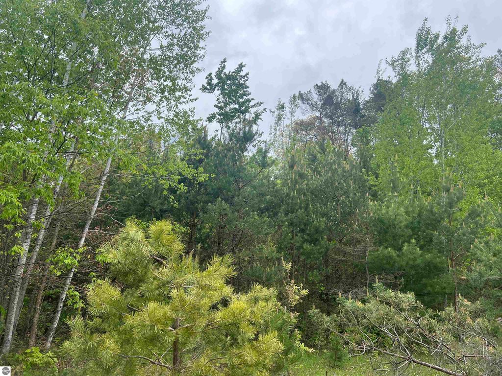 Photo of 388 Wyndwood Drive, Mancelona, MI 49659 (MLS # 1939970)