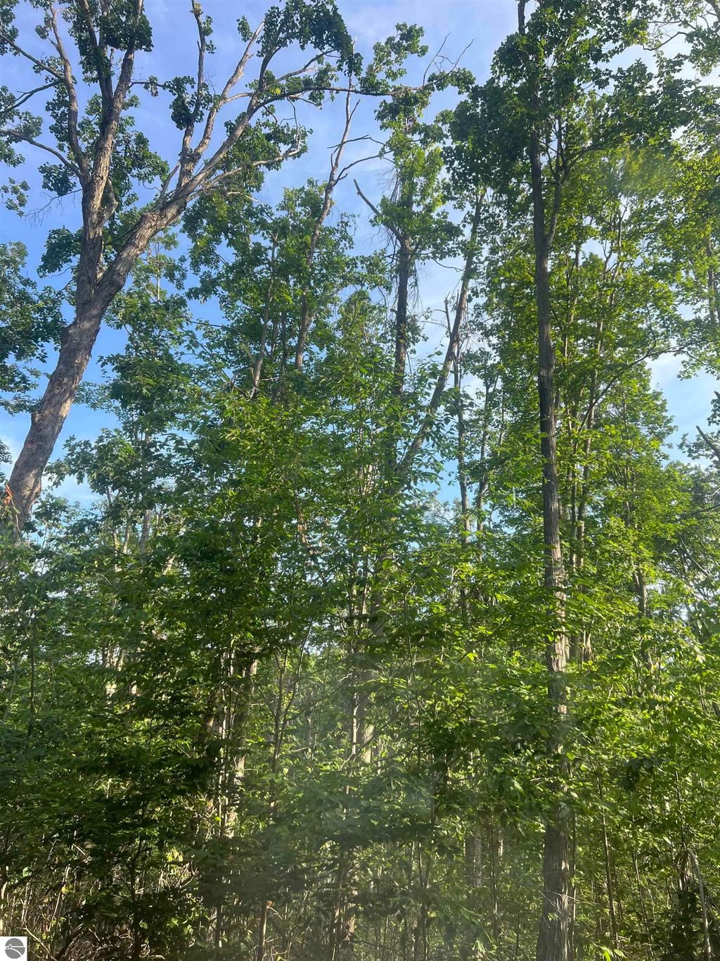 Photo of 388 Wyndwood Drive, Mancelona, MI 49659 (MLS # 1939970)