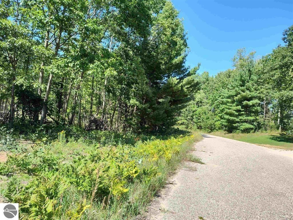 Photo of N Circle E, Farwell, MI 48622 (MLS # 1939945)