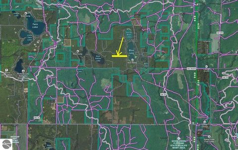 Tiny photo for 6397 W Blue Lake Road, Ne, Kalkaska, MI 49646 (MLS # 1940398)