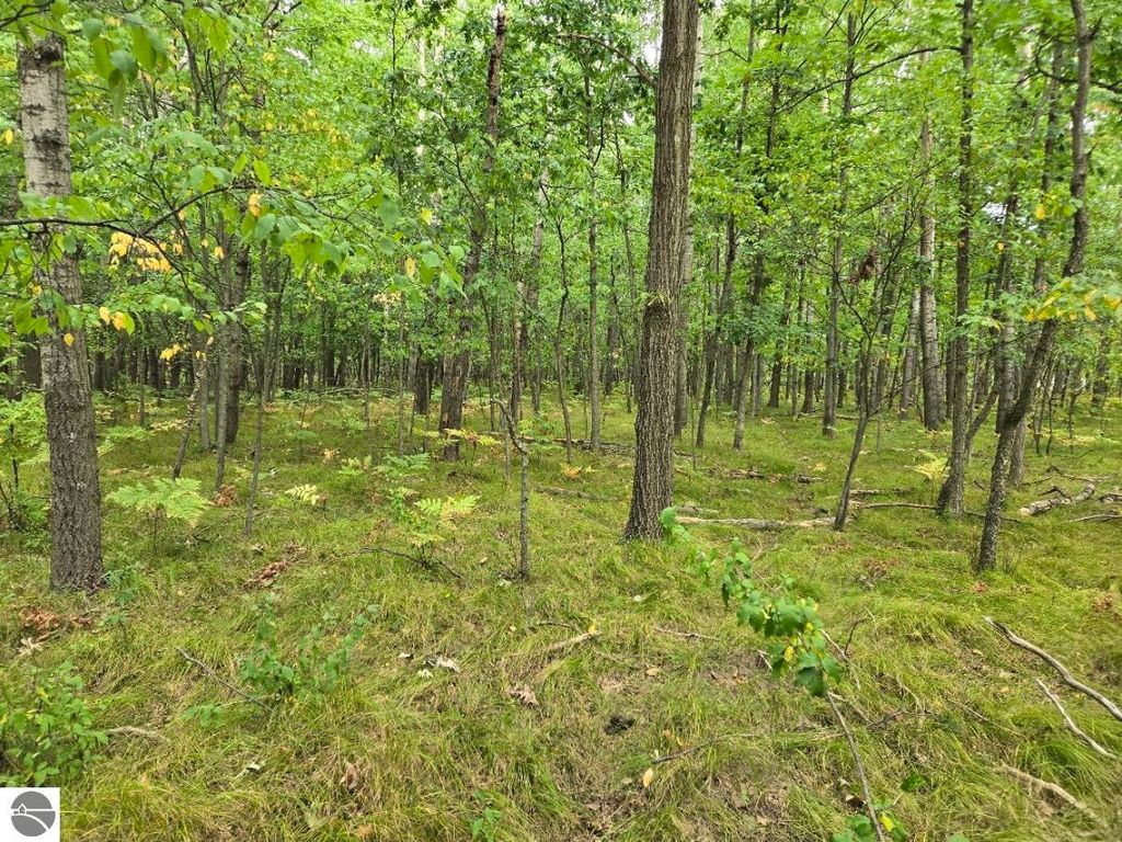 Photo of 1009 Castle Drive, Lake Isabella, MI 48893 (MLS # 1927105)