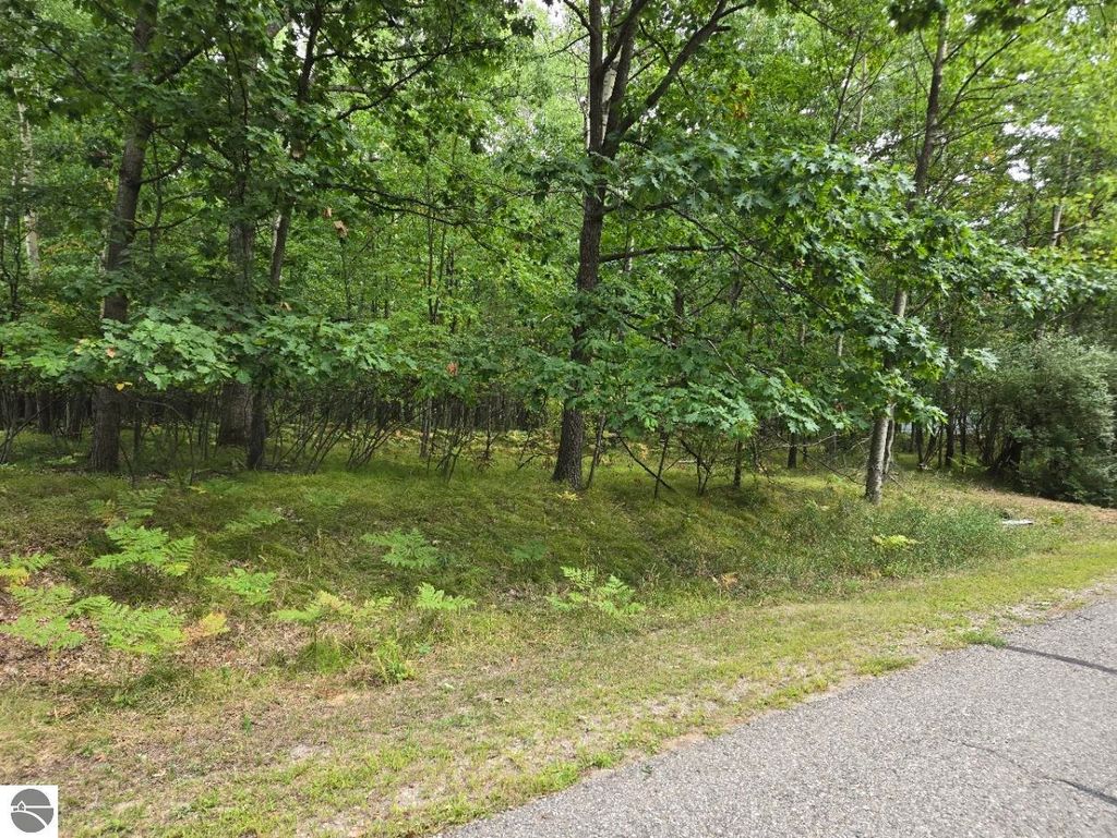 Photo of 1009 Castle Drive, Lake Isabella, MI 48893 (MLS # 1927105)