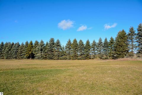 Tiny photo for 5597 Timber Flats Drive, Kingsley, MI 49649 (MLS # 1940745)