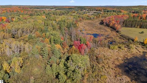 Tiny photo for 8780 E 30 1/2 Road, Cadillac, MI 49601 (MLS # 1939729)