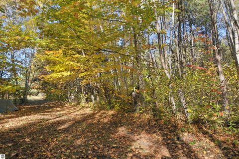 Tiny photo for 8780 E 30 1/2 Road, Cadillac, MI 49601 (MLS # 1939729)