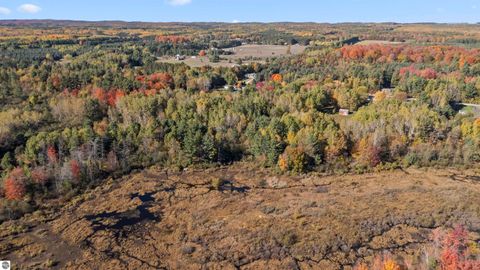 Tiny photo for 8780 E 30 1/2 Road, Cadillac, MI 49601 (MLS # 1939729)