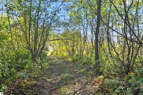 Tiny photo for 8780 E 30 1/2 Road, Cadillac, MI 49601 (MLS # 1939729)