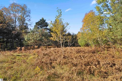 Tiny photo for 8780 E 30 1/2 Road, Cadillac, MI 49601 (MLS # 1939729)