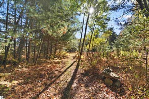 Tiny photo for 8780 E 30 1/2 Road, Cadillac, MI 49601 (MLS # 1939729)