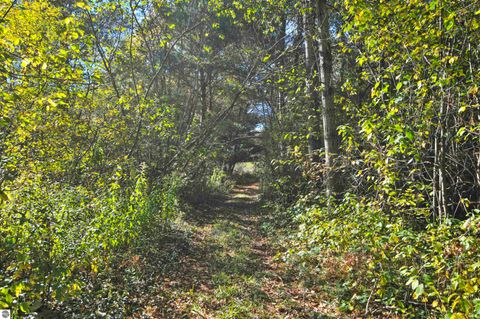 Tiny photo for 8780 E 30 1/2 Road, Cadillac, MI 49601 (MLS # 1939729)