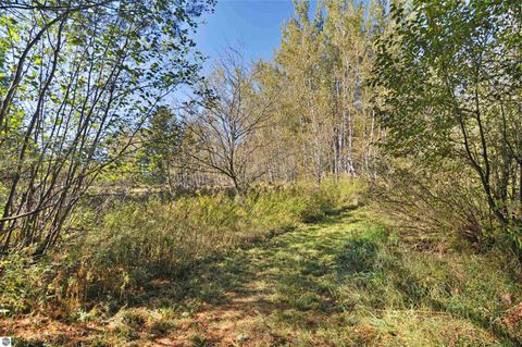 Tiny photo for 8780 E 30 1/2 Road, Cadillac, MI 49601 (MLS # 1939729)