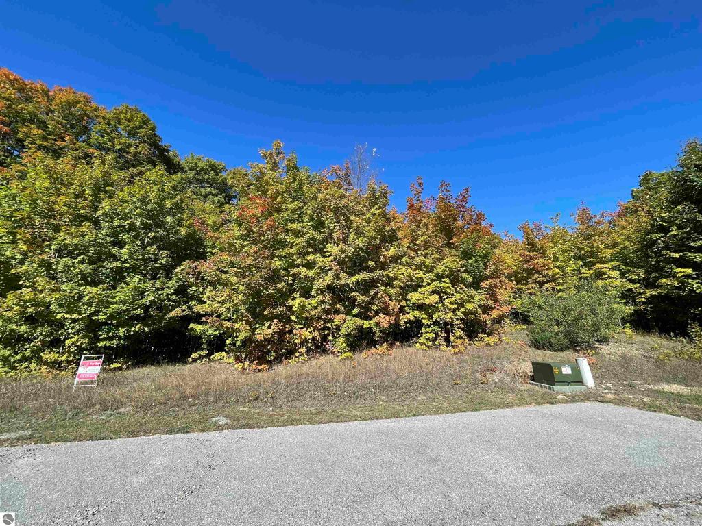 Photo of 2425 Quail Court, Bellaire, MI 49615 (MLS # 1939590)