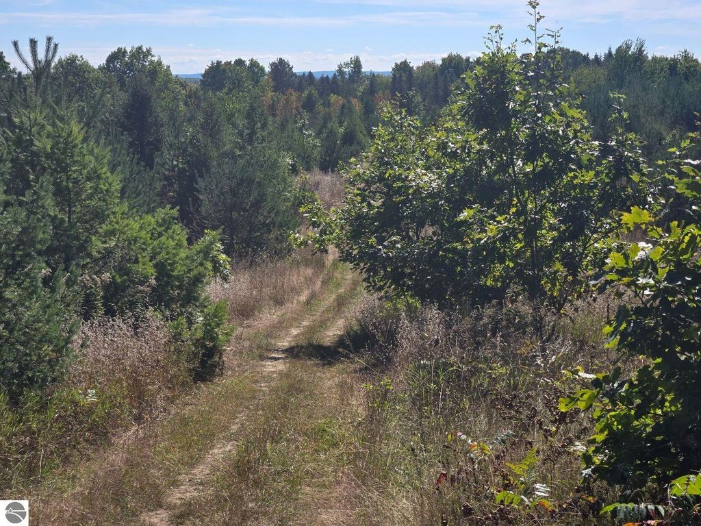 Photo of 000 Moorestown Road, Lake City, MI 49651 (MLS # 1939635)